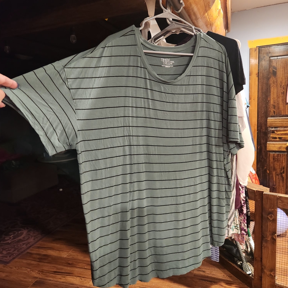 Time and Tru Men's Olive Striped Tee